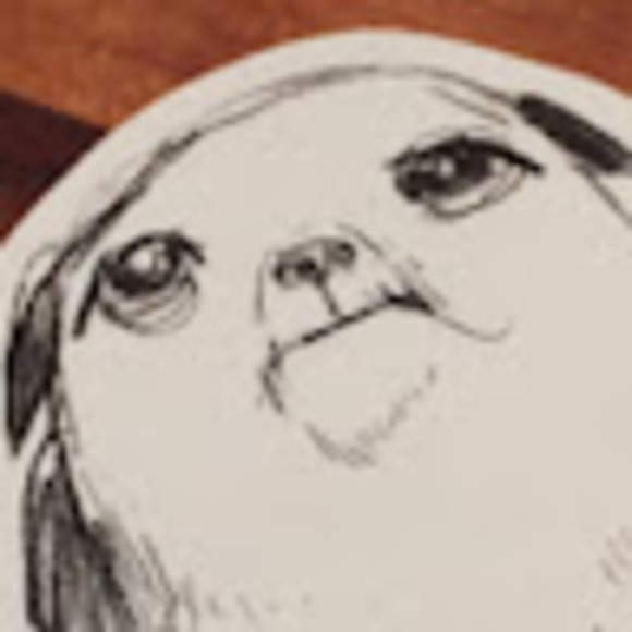 Meet your Posher, Maggie - Picture 1 of 1